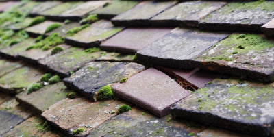 Kingswood roof repair costs